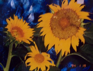 Lynn Burton: Sunflowers (Oil on Canvass)